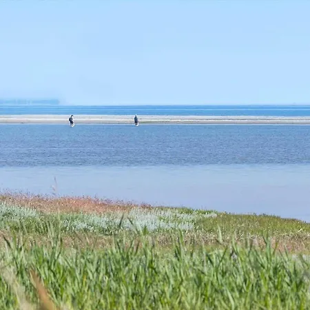 Feriehus 8994-orsted-rylevej-26