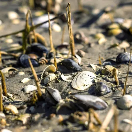 8994-orsted-rylevej-26 Feriehus *