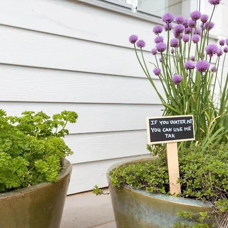 8994-orsted-rylevej-26 Feriehus Ørsted