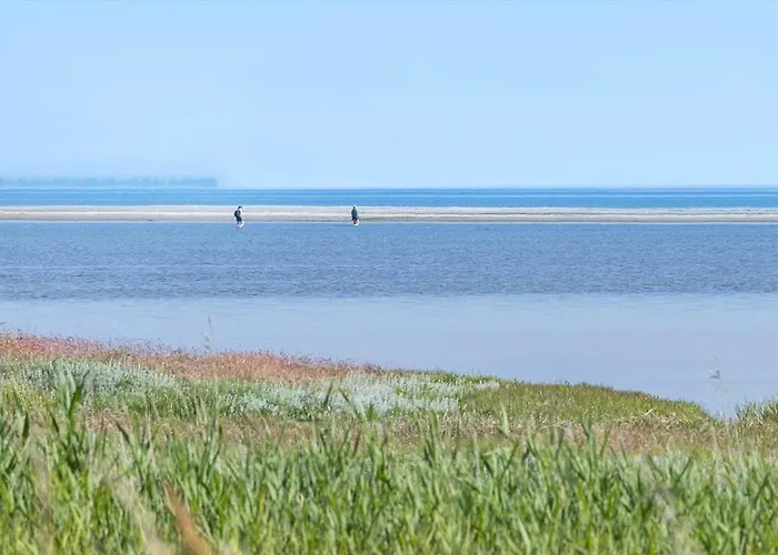 Holiday home 8994-orsted-rylevej-26