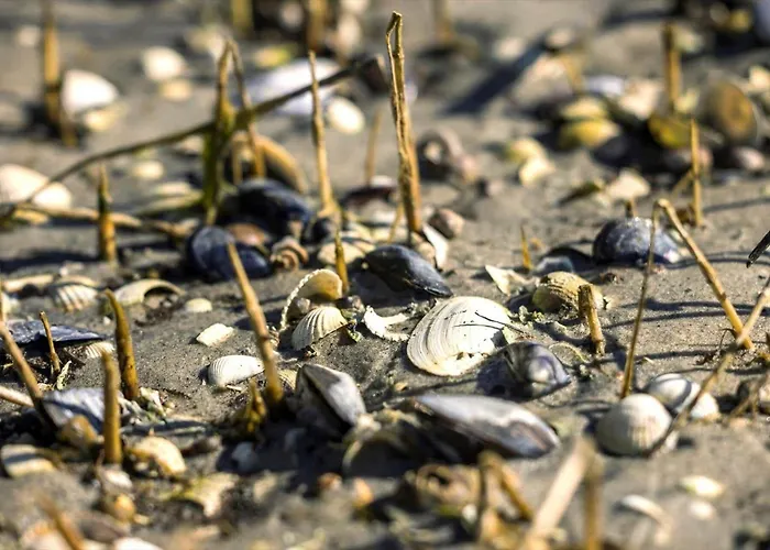 8994-orsted-rylevej-26 Holiday home *